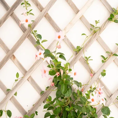 Chicca's 3* Лечче